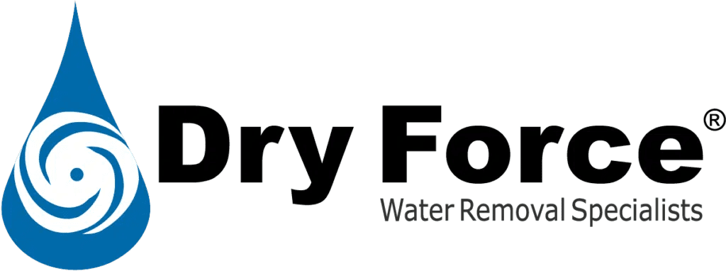 Dry Force logo